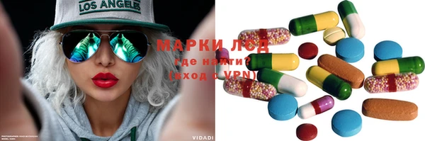 стафф Алзамай