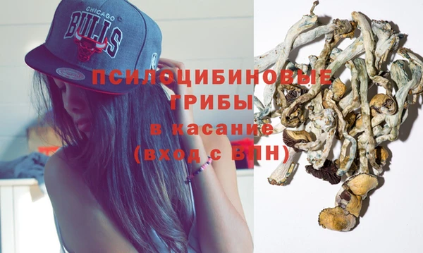 дурь Алексин