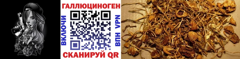 Галлюциногенные грибы ЛСД  Глазов 