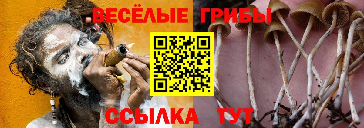 МЕФ  КОКАИН  Глазов  МЕФ   МАРИХУАНА  Альфа ПВП СК   ГАШИШ  Codein  ГАШ  Вход с VPN  МЕТАМФЕТАМИН 
